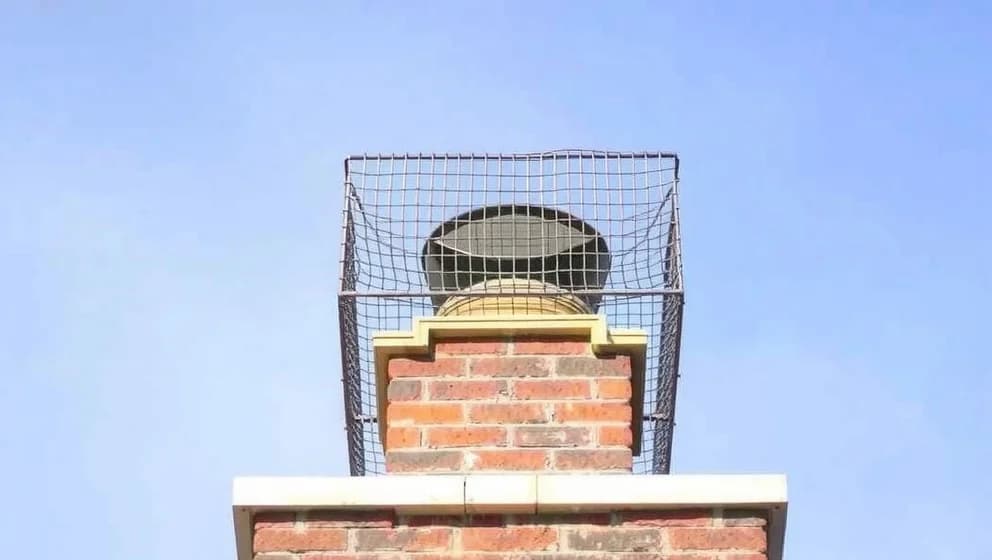 Fågelnät skorsten skyddar dina fåglar